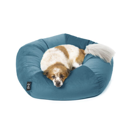 Cuccia Ely velluto antigraffio blu carta da zucchero