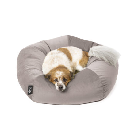 Cuccia Ely velluto antigraffio grigio