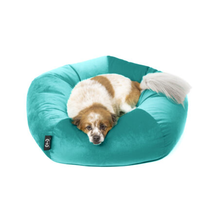 Cuccia Ely velluto antigraffio verde ottanio