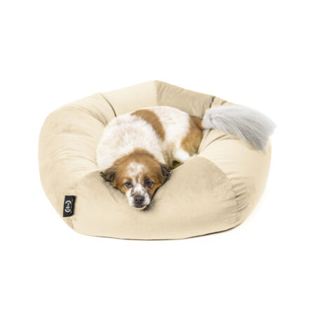 Cuccia Ely velluto antigraffio panna