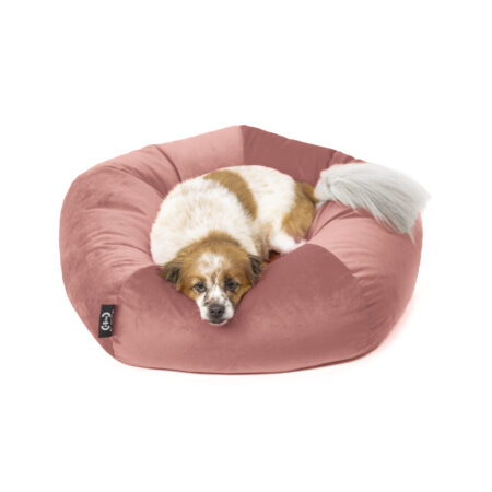 Cuccia Ely velluto antigraffio rosa