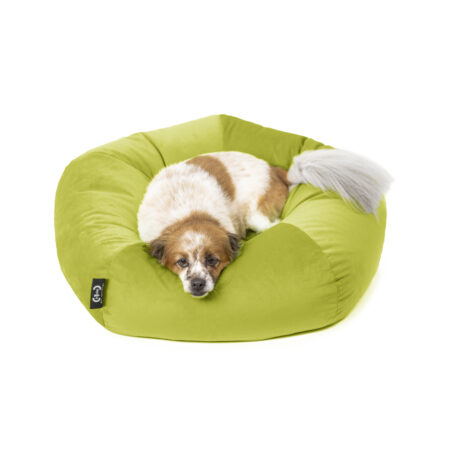 Cuccia Ely velluto antigraffio verde acido