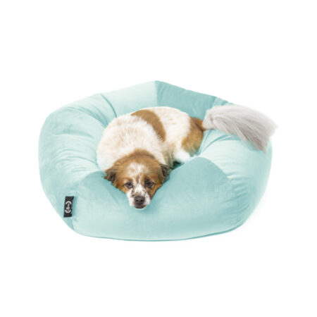 Cuccia Ely velluto antigraffio azzurro Tiffany