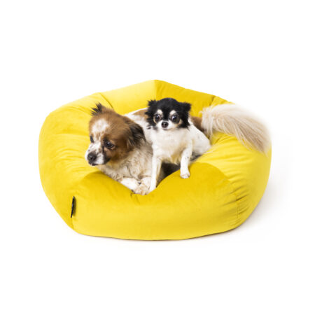 Cuccia Ely velluto antigraffio giallo senape