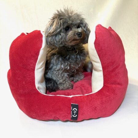 Cuccia LOVE pezzo unico