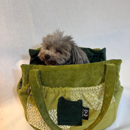 Borsa trasportino EASY GREEN pezzo unico